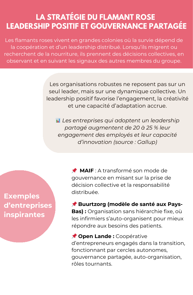Verso : Description et exemples de la stratégie du Flamant rose