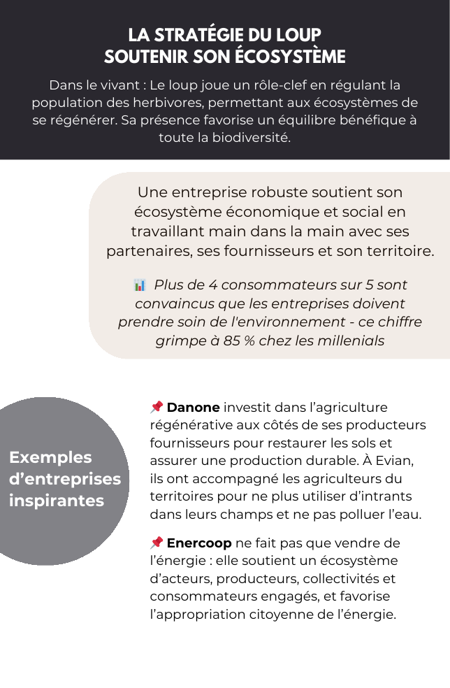 Verso : Description et exemples de la stratégie du Loup