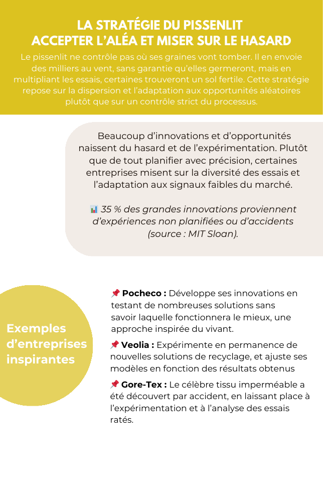 Verso : Description et exemples de la stratégie du Pissenlit