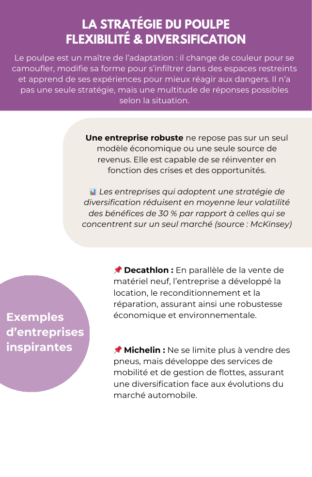 Verso : Description et exemples de la stratégie du Poulpe