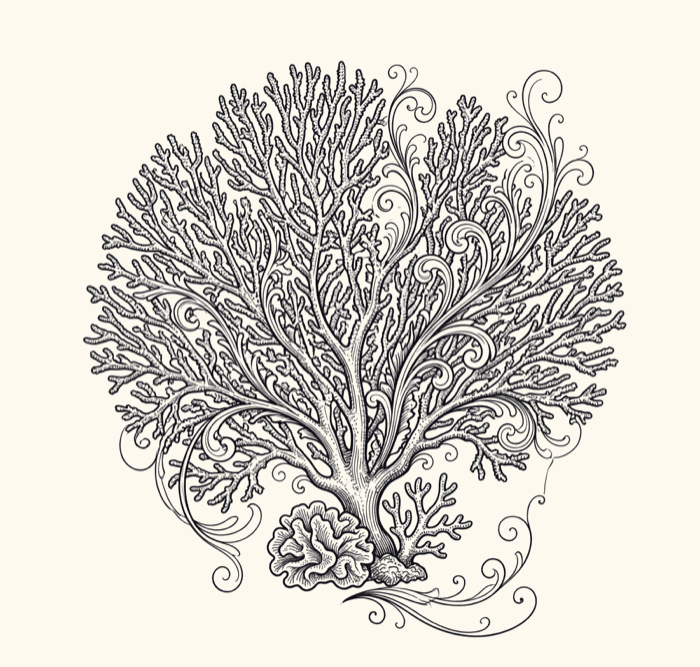 Illustration de corail, posture de structure vivante et de symbiose